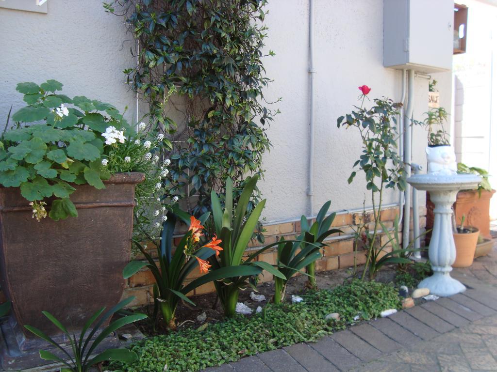 Brookdale House Otel Cape Town Dış mekan fotoğraf