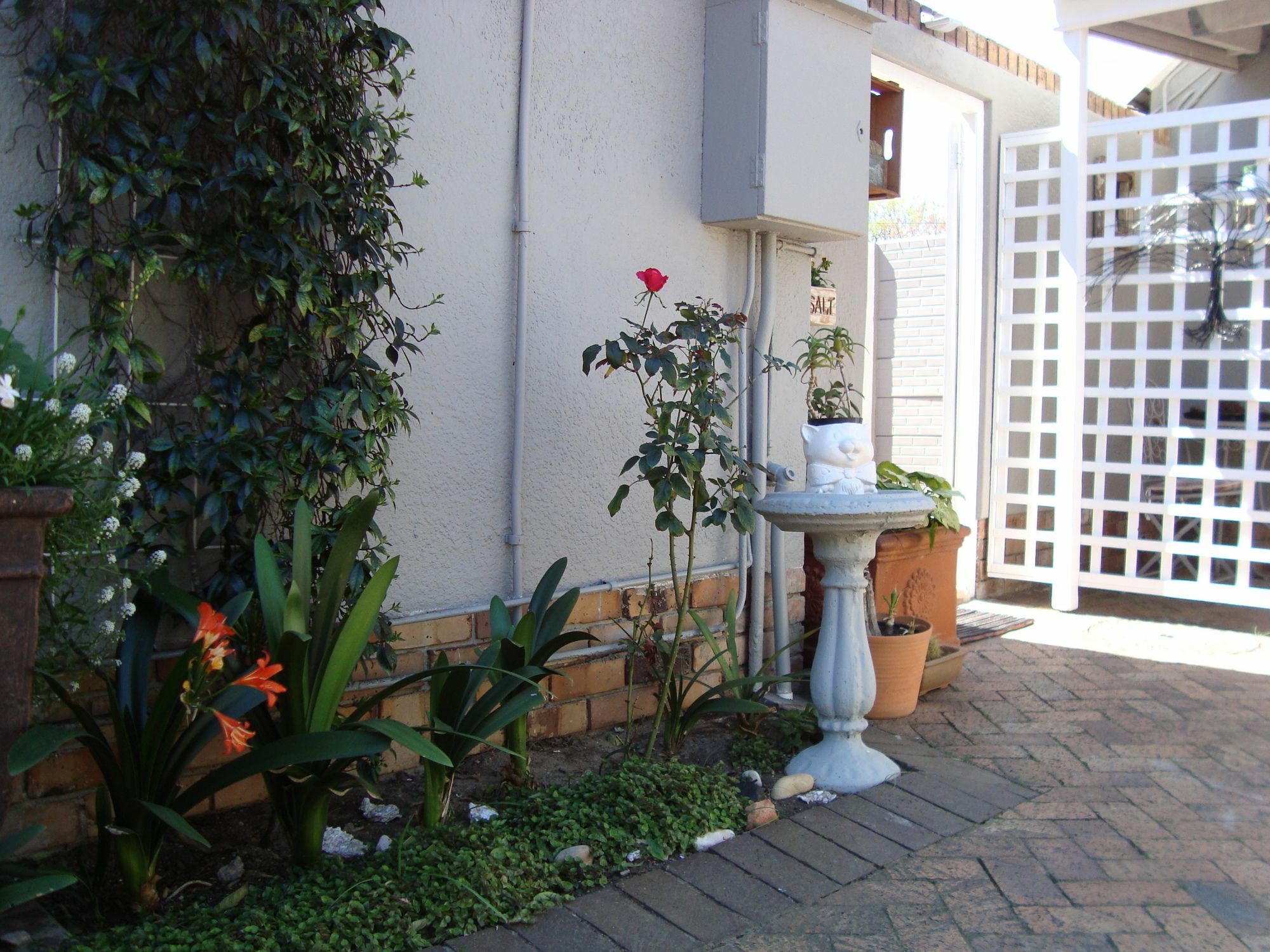 Brookdale House Otel Cape Town Dış mekan fotoğraf
